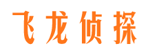 类乌齐市侦探